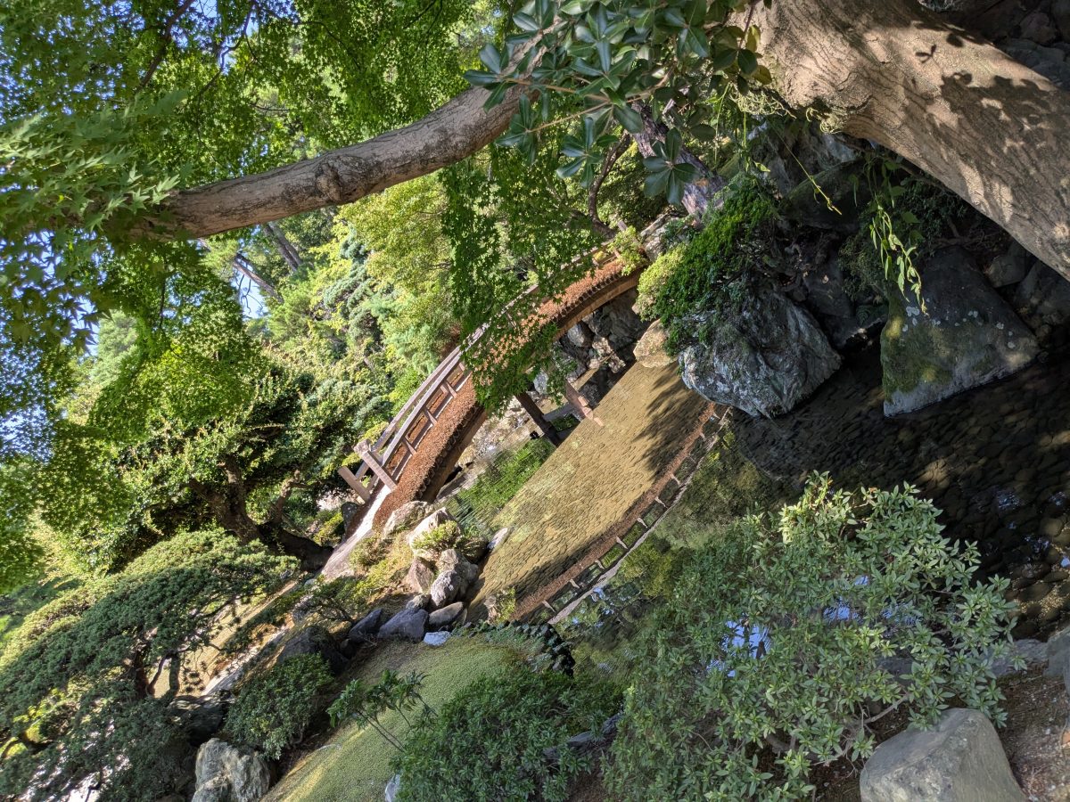 京都御所に行ってきました！