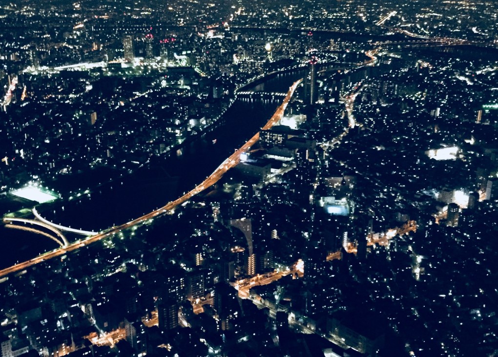 Dynamics 365のMultiSelect オプションセット