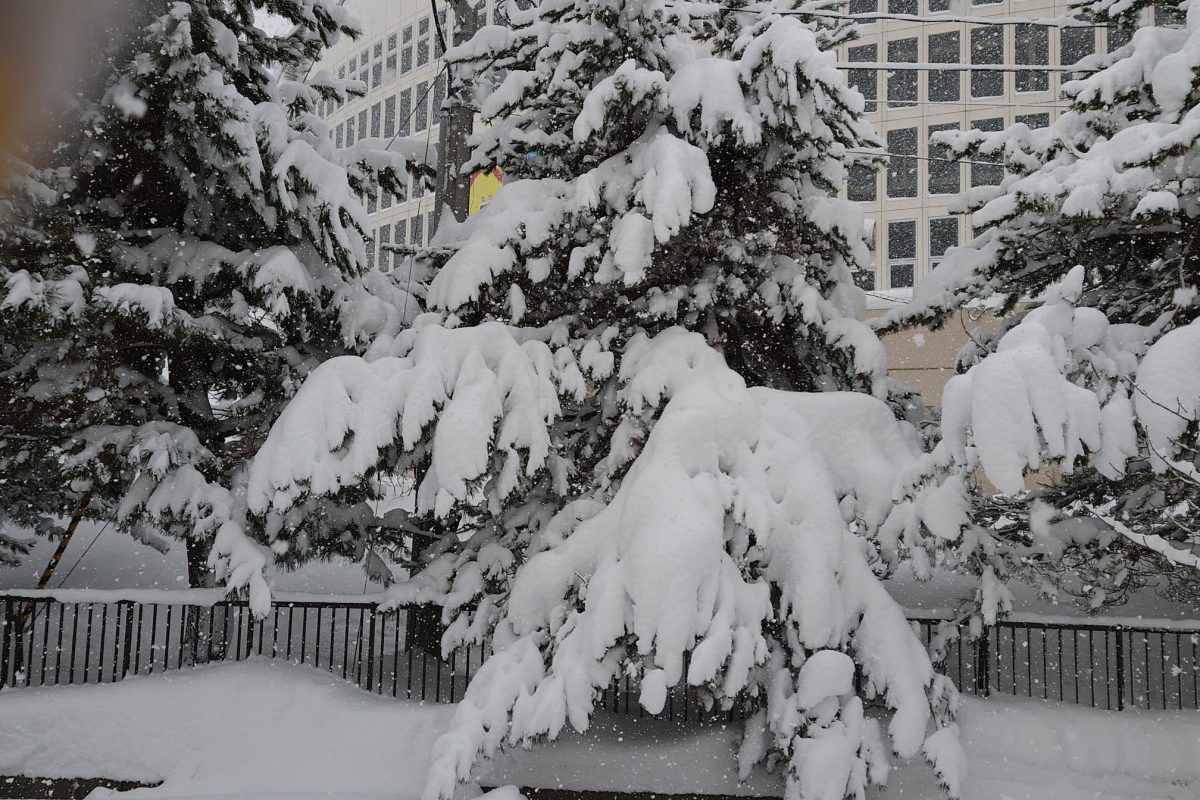 PowerPointからの通知