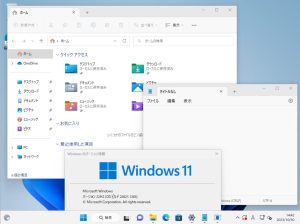 Windows 11 Build 22621.1265 の外観