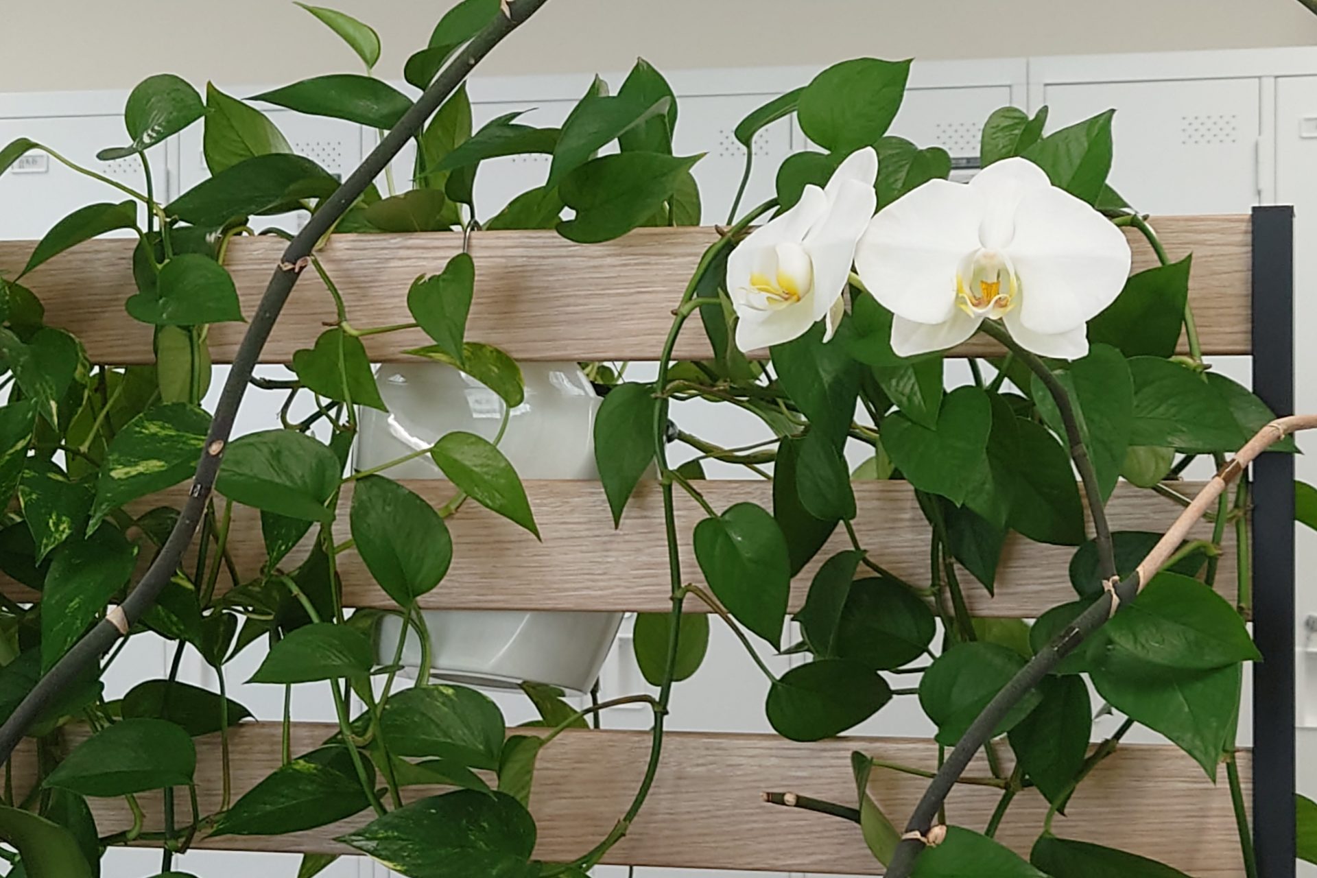 Copilot for Microsoft 365を使っています。