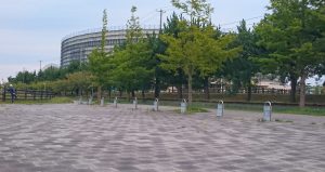 子猫のクーは「食」