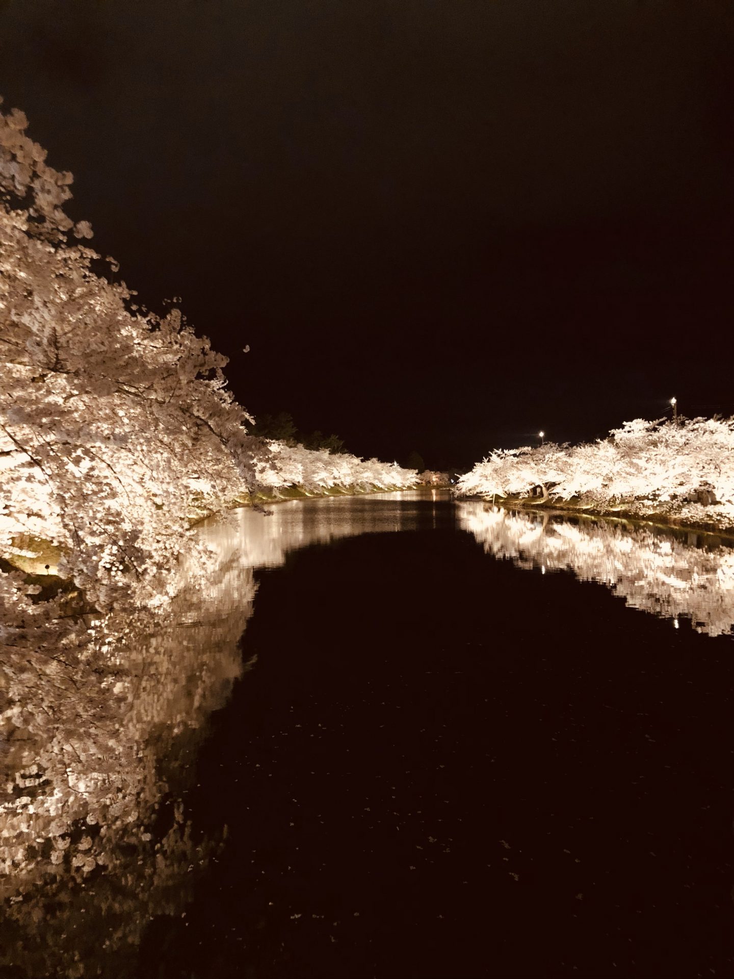 弘前さくらまつりに行ってきました！