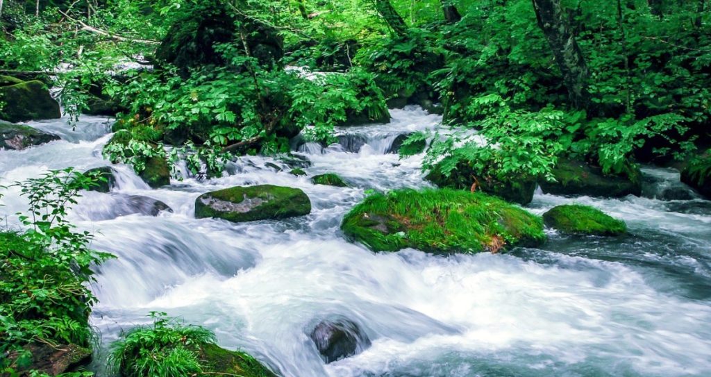 青森　あおもり　Aomori