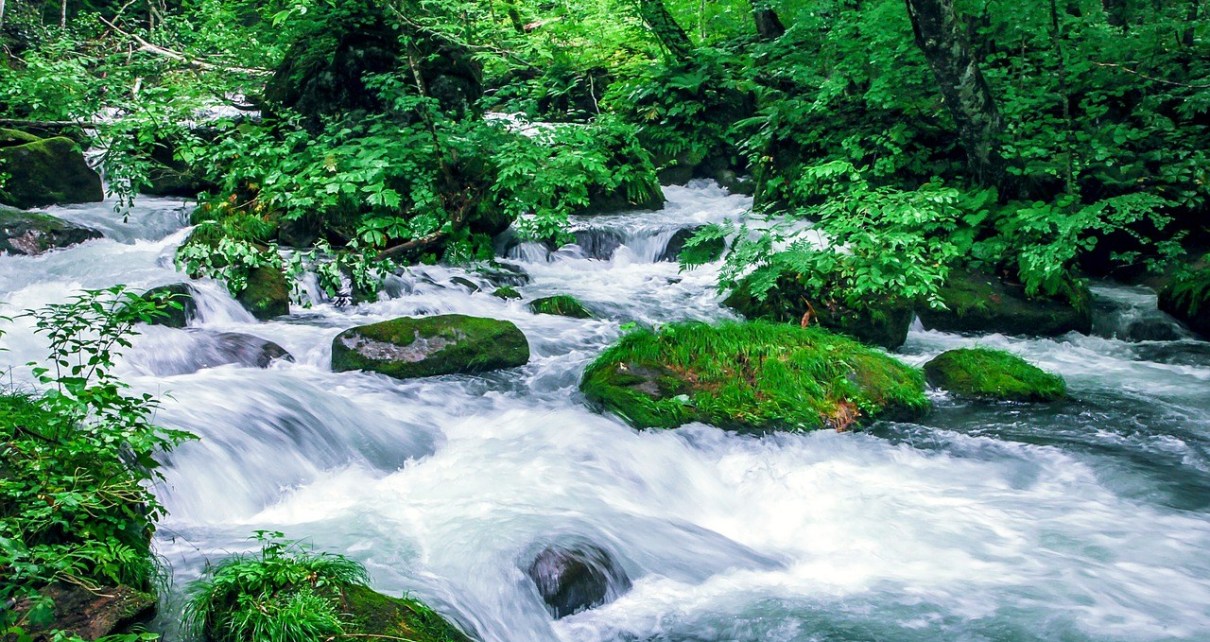 青森　あおもり　Aomori