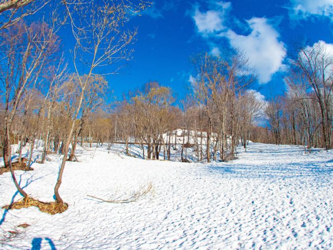 年末年始休業のお知らせ（2025年-2026年）