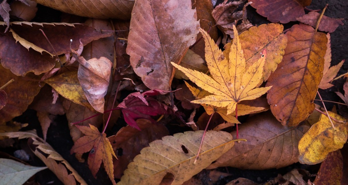 これからの季節