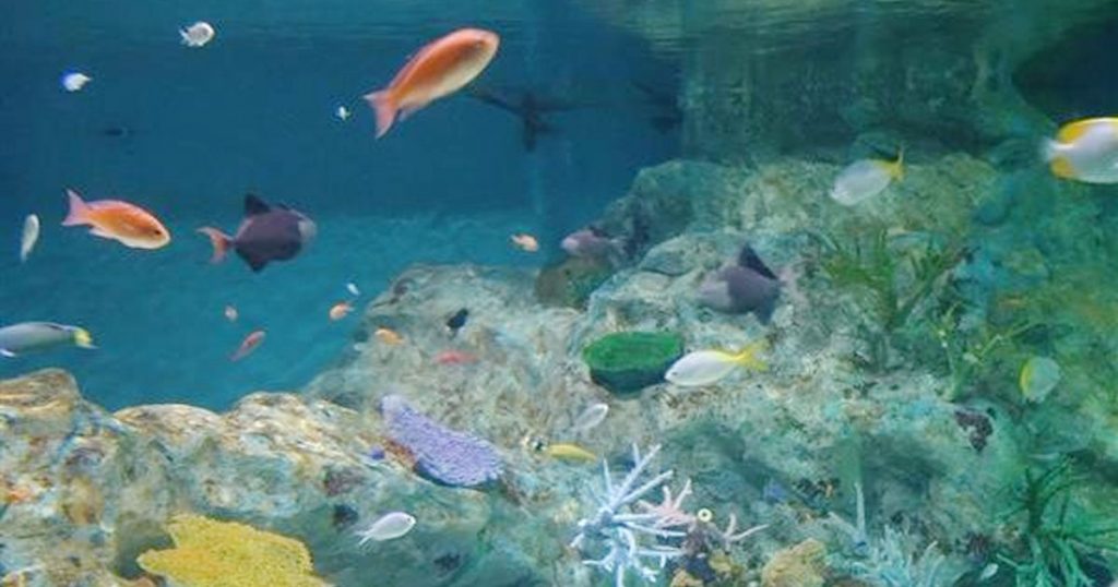 浅虫日帰りプチ旅行