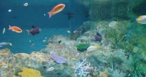 浅虫日帰りプチ旅行