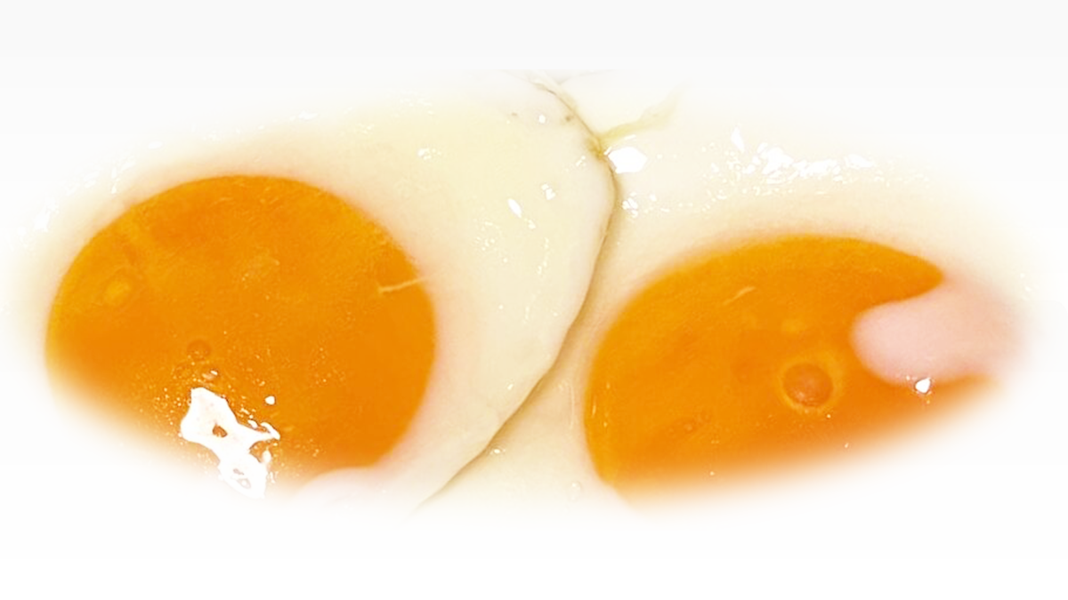 目玉焼きの日々