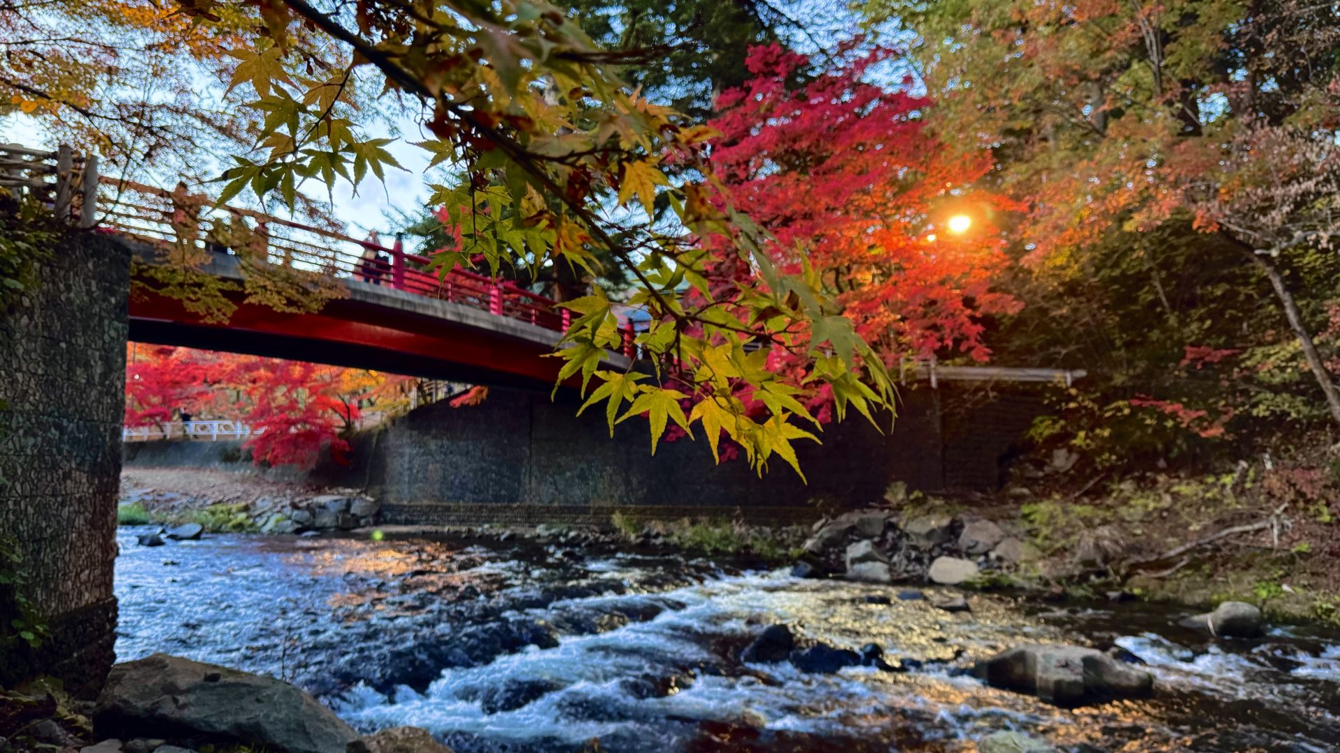 中野もみじ山で秋満喫！