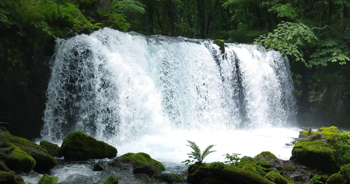 マイナスイオンを求めて・・・