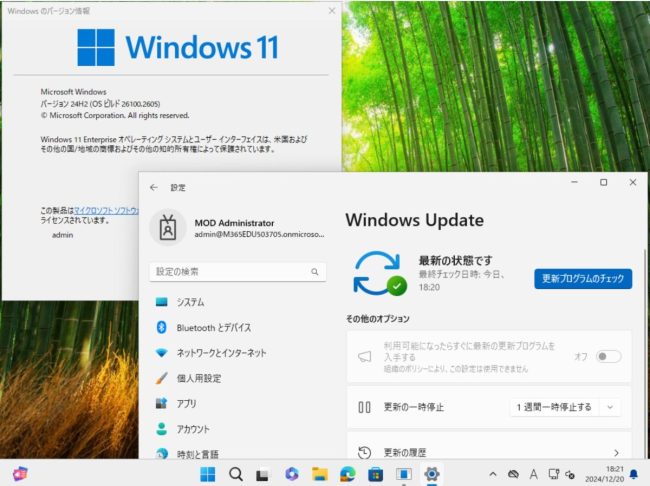 通常通り再起動した後、2024-12B の状態になった画面。